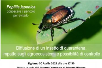 Popillia japonica - Conoscere il pericolo per evitarlo